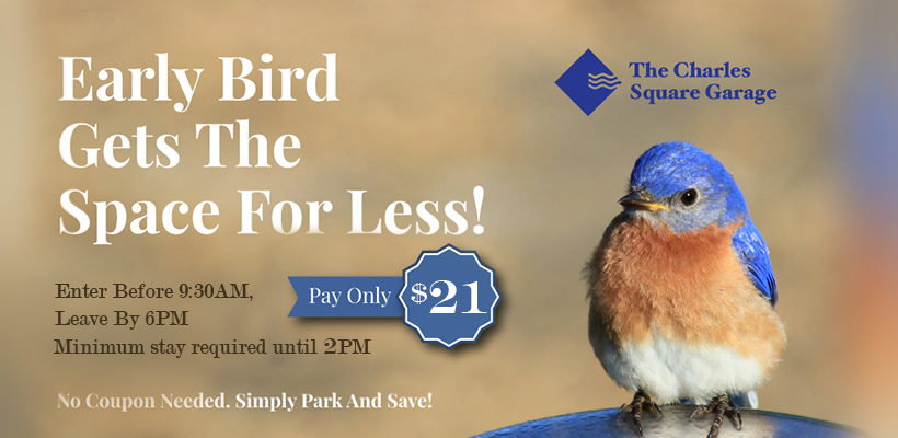 Early Bird Special