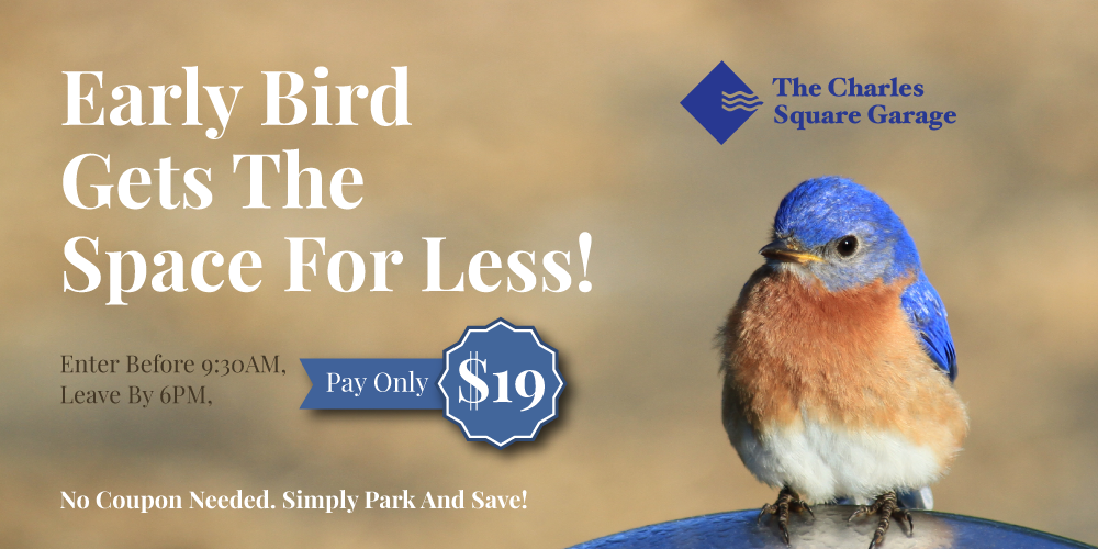 Early bird get the space for less Enter before 9:30AM Leave by 6:00PM pay only $19 No coupons needed Simply park and save