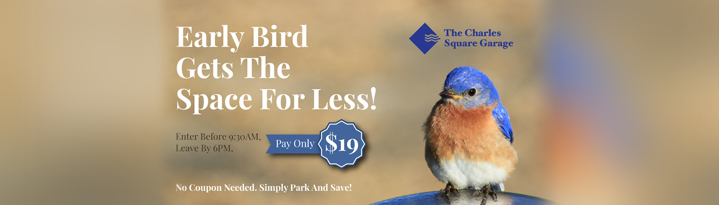 Early bird get the space for less Enter before 9:30AM Leave by 6:00PM pay only $19 No coupons needed Simply park and save
